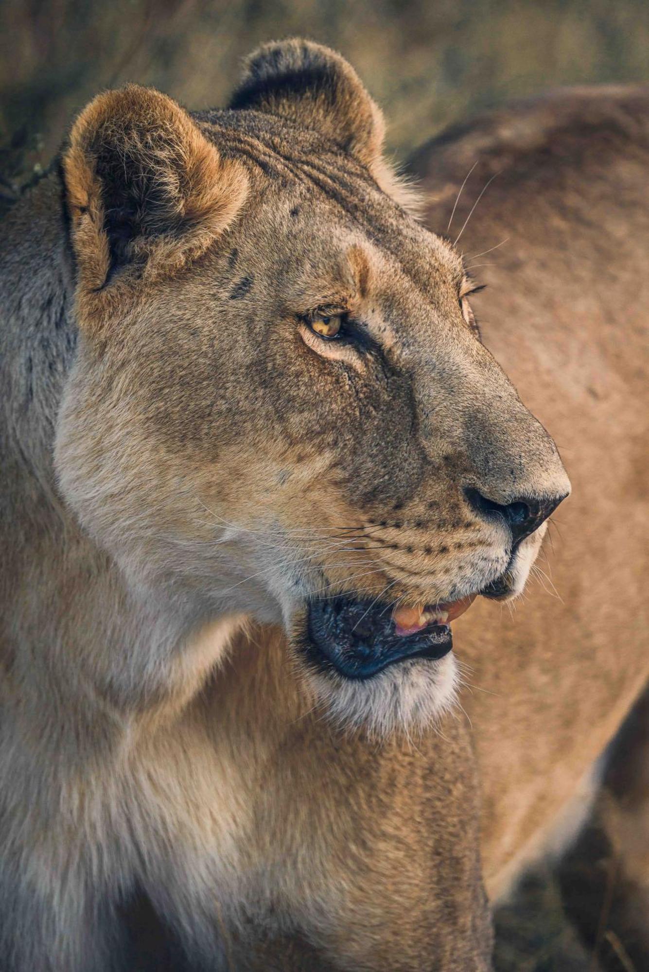 Grassland Safari Lodge Ghanzi Eksteriør billede